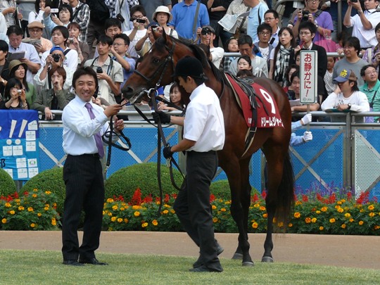 祝 吉村圭司厩舎開業 競馬で楽しい時間を過ごそう