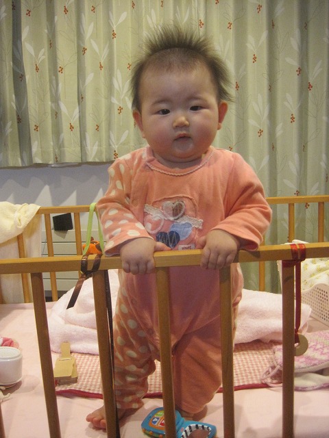 f0202703_251289.jpg