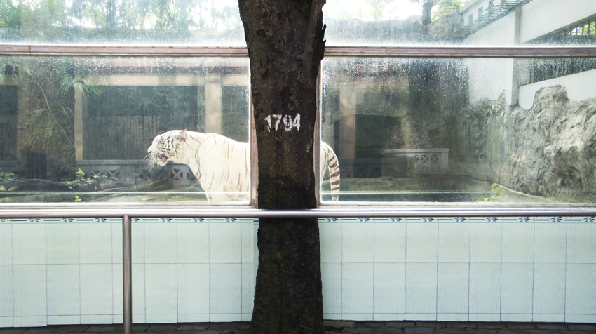 ベトナム 動物園 2 行きたいところに行きたい ベトナム 動物園 2 行きたいところに行きたい