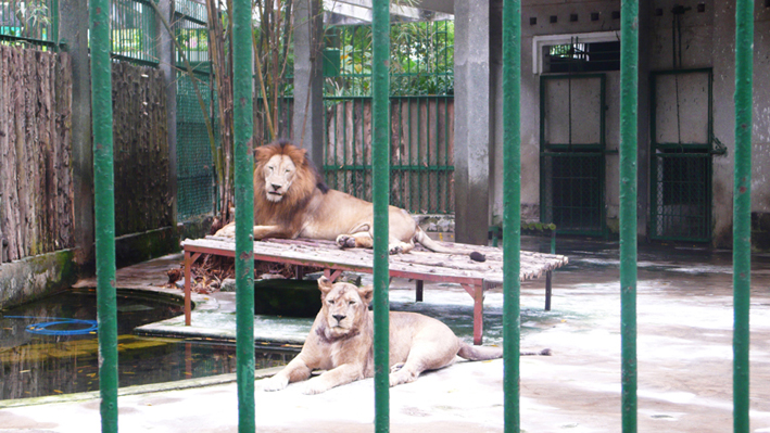 ベトナム 動物園 2 行きたいところに行きたい ベトナム 動物園 2 行きたいところに行きたい