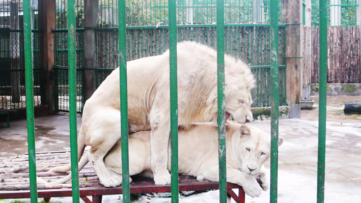 ベトナム 動物園 2 行きたいところに行きたい ベトナム 動物園 2 行きたいところに行きたい