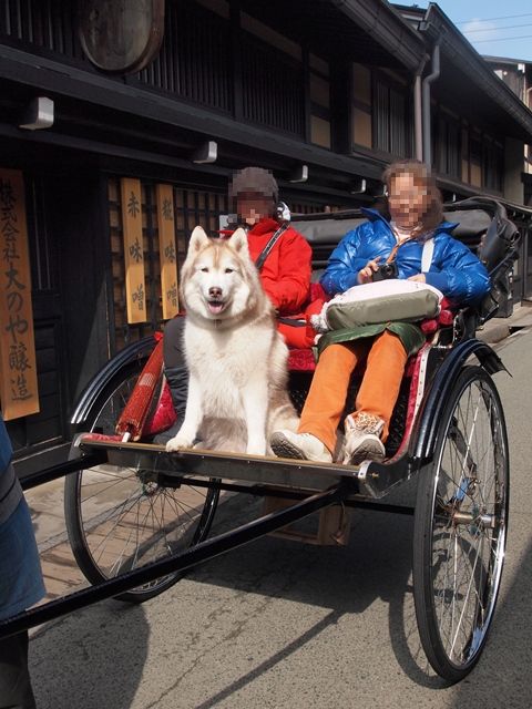 岐阜まで雪遊び遠征　-高山で飛騨牛を食らうの巻-_b0207615_2229212.jpg