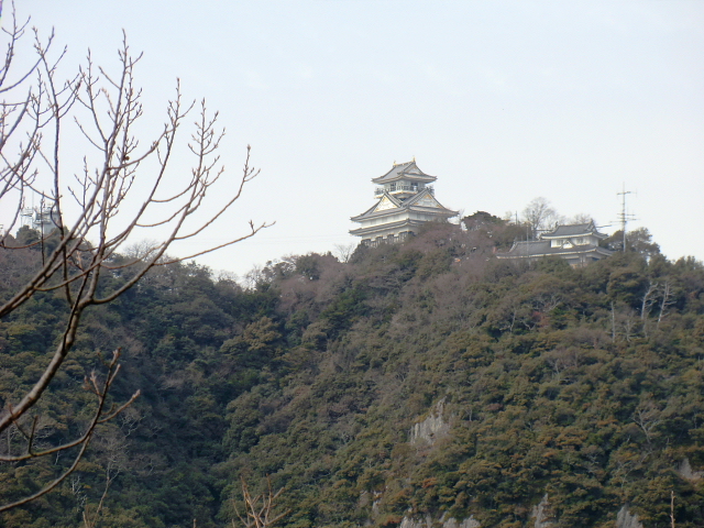 岐阜の名山　白山神社 ～ 金崋山 328M 縦走を楽しむ_d0170615_8525331.jpg