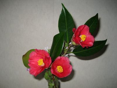 e0128918_232733.jpg