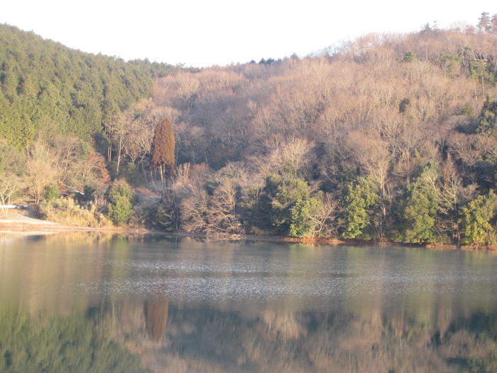 また「セルフビルド開墾」に 行きます☆_a0125419_18411119.jpg