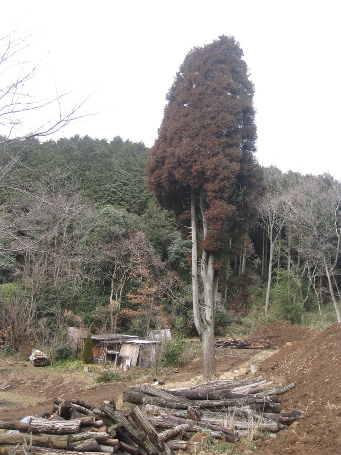 また「セルフビルド開墾」に 行きます☆_a0125419_18524442.jpg