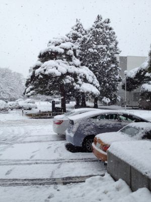 またまた大雪_d0028322_9541521.jpg