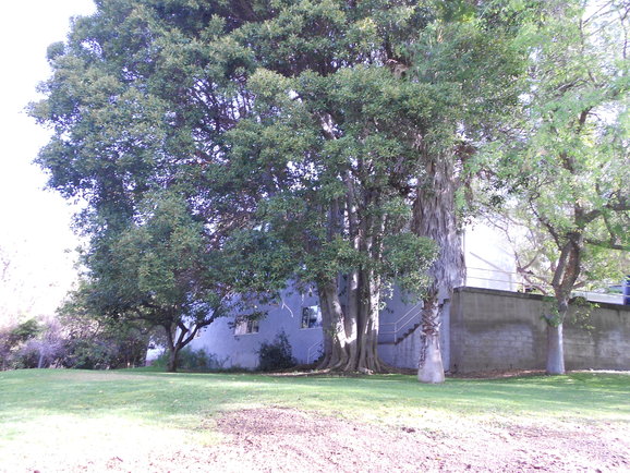 a0214927_157772.jpg