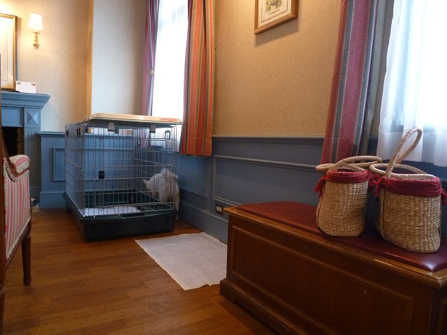 a0024829_11273189.jpg