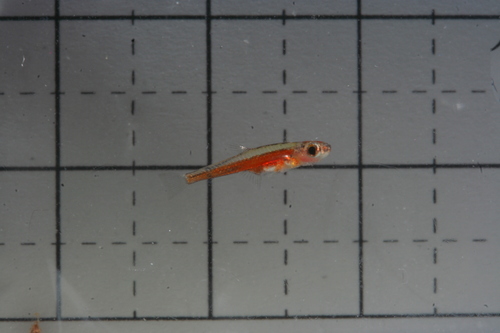a0217735_15172726.jpg