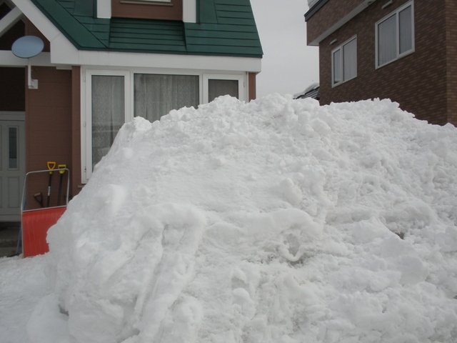 d0059240_1037231.jpg