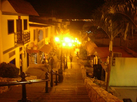 a0161360_22529.jpg