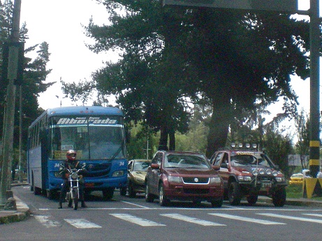 a0161360_39776.jpg