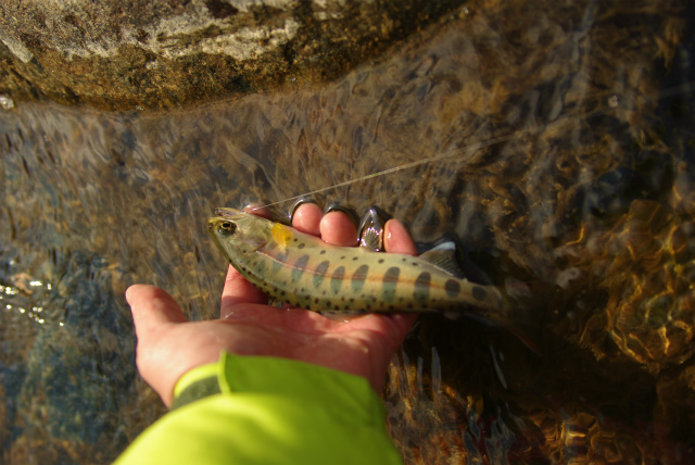 c0240462_8403244.jpg