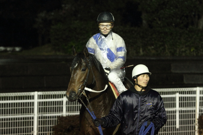 2012年3月4日（日） 高知競馬 10R 高知城花回廊特別 C1-1選抜馬_a0077663_124027100.jpg