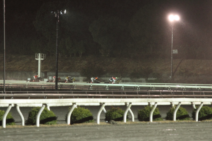 2012年3月4日（日） 高知競馬 10R 高知城花回廊特別 C1-1選抜馬_a0077663_12403156.jpg