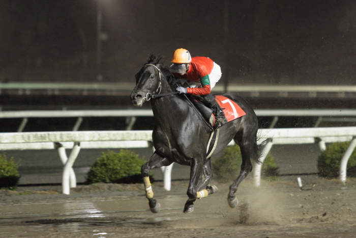 2012年3月4日（日） 高知競馬 10R 高知城花回廊特別 C1-1選抜馬_a0077663_12405718.jpg