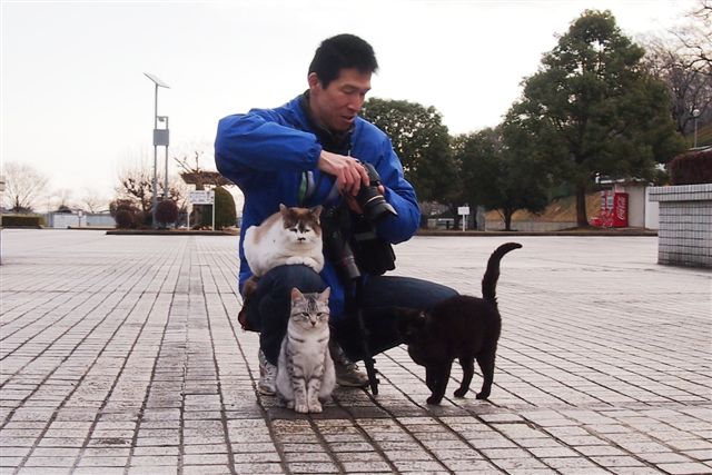 紅梅と猫集会 #photo #pentax #neko _c0153764_19523834.jpg