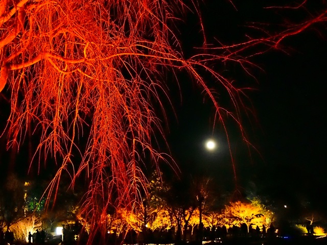 b0138768_1730230.jpg