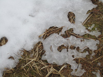 b0227568_21144973.jpg