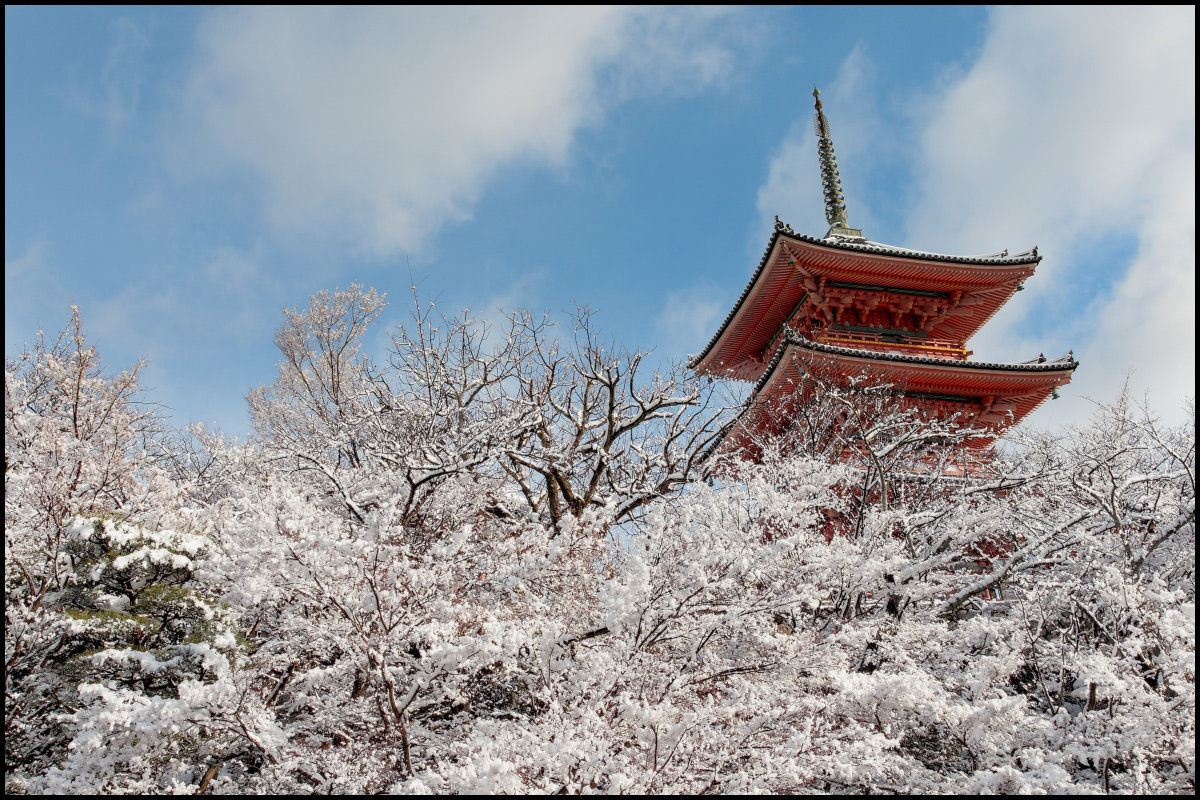 雪景色　<京都> 清水寺_f0021869_21551320.jpg