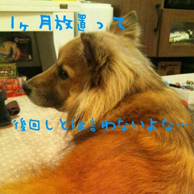 f0238772_18181327.jpg