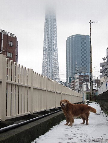 高い塔と、低い発想。_b0141773_2242136.jpg