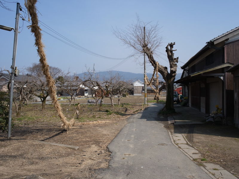 c0177576_13145391.jpg