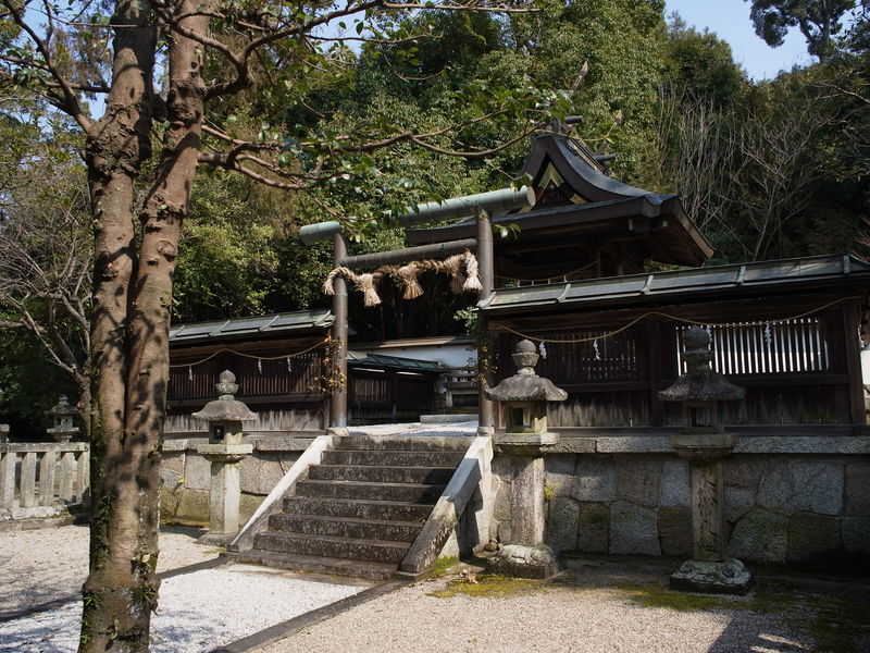c0177576_1424178.jpg