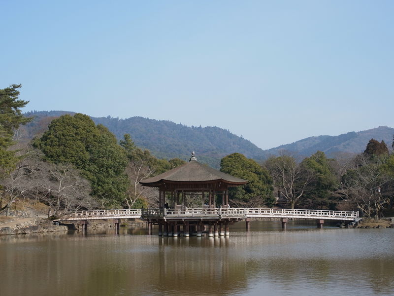 c0177576_14531029.jpg