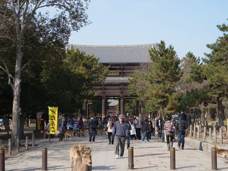 c0177576_145683.jpg