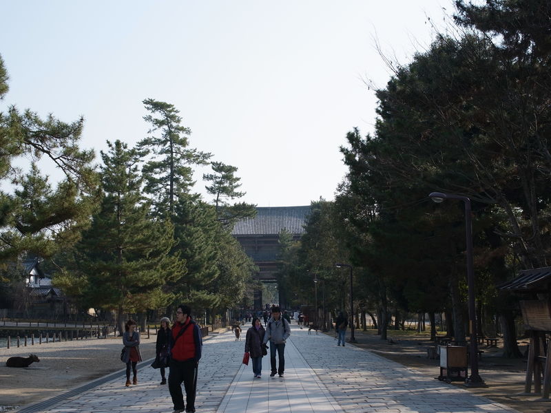 c0177576_16214421.jpg
