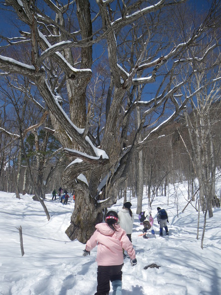 雪の森を歩こう　IN奥日光_b0125180_11123043.jpg