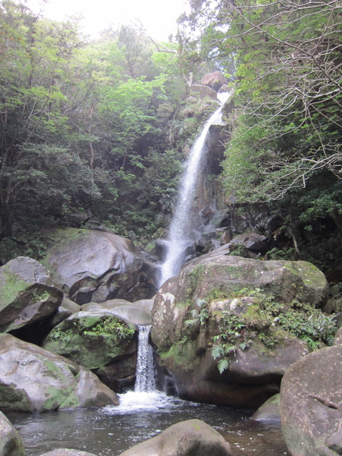  初ウグイス　轟の滝と数久田山トレッキング 2_e0158687_1157479.jpg