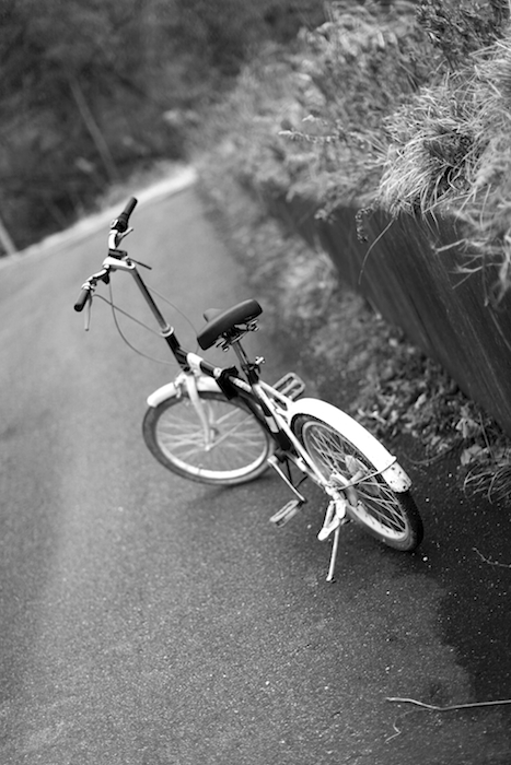 yellow bicycles