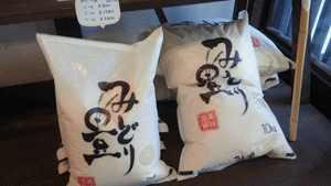 c0093196_103088.gif