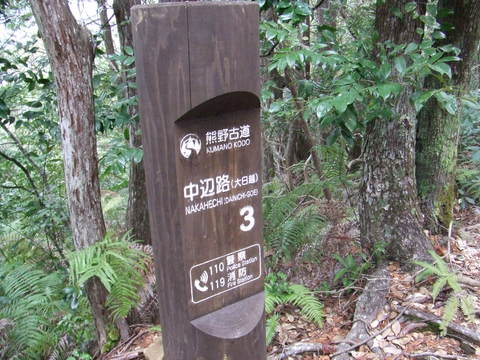 e0180099_17404316.jpg