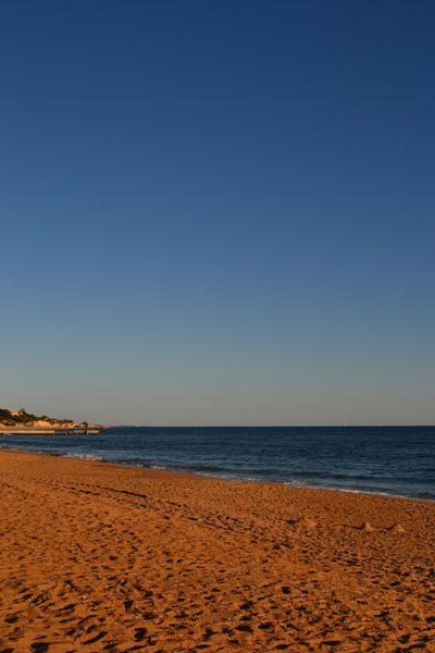 f0188600_864716.jpg