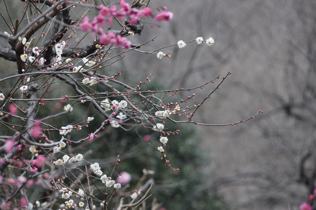 b0173802_220623.jpg