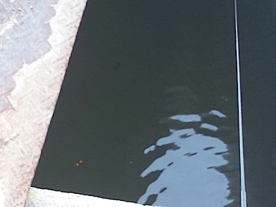 f0082402_0523571.jpg