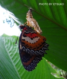 c0247308_11272645.jpg