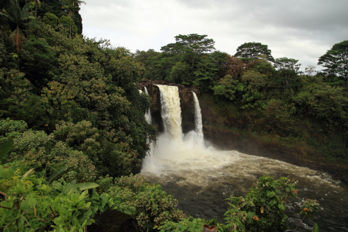 e0174008_17151529.jpg