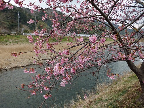 f0006509_2324312.jpg