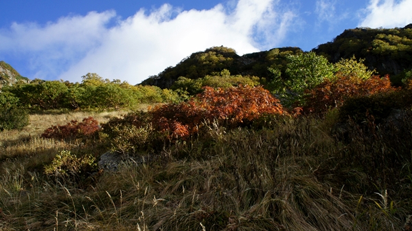 b0244811_17361013.jpg