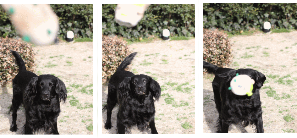 c0017311_22495351.gif