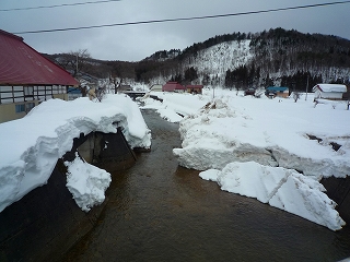 雪解け進む_c0189218_11593417.jpg