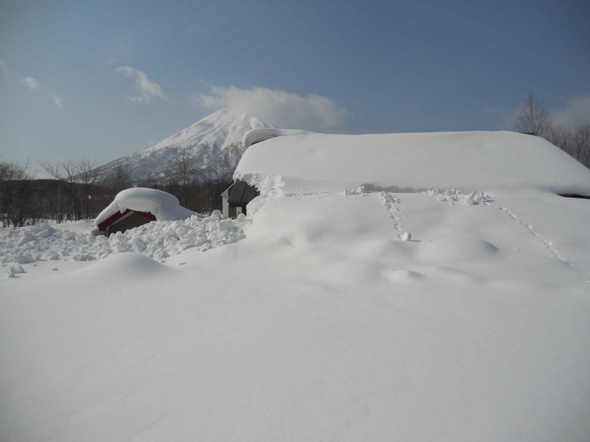 d0143719_11121210.jpg