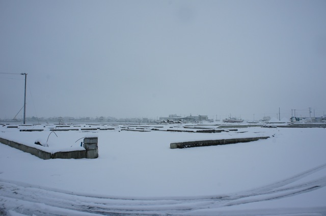 f0143119_859330.jpg
