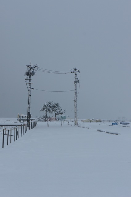 f0143119_91812.jpg