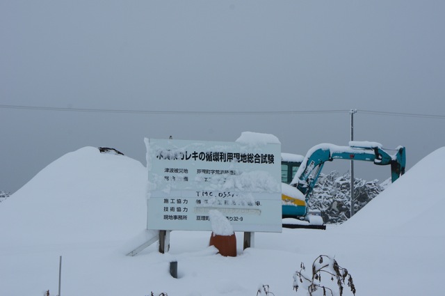 f0143119_941890.jpg